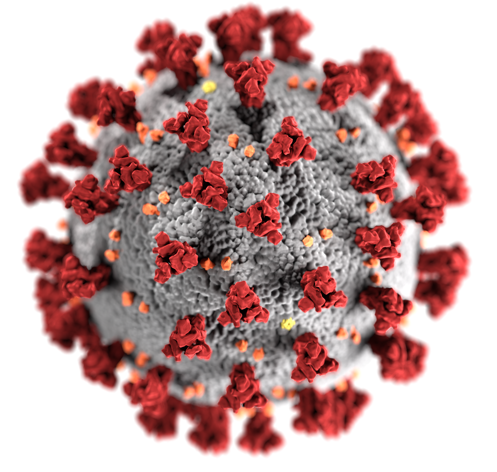 Corona Virus (Quelle Wikipedia)